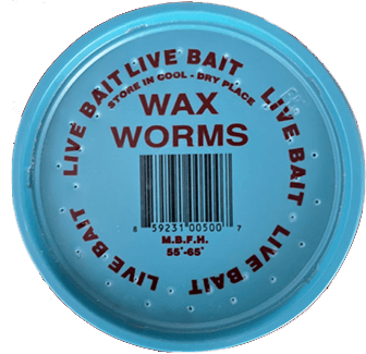 wax-worms